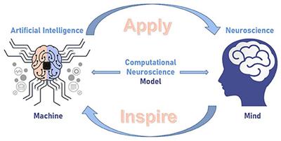 Editorial: Closed-loop iterations between neuroscience and artificial intelligence